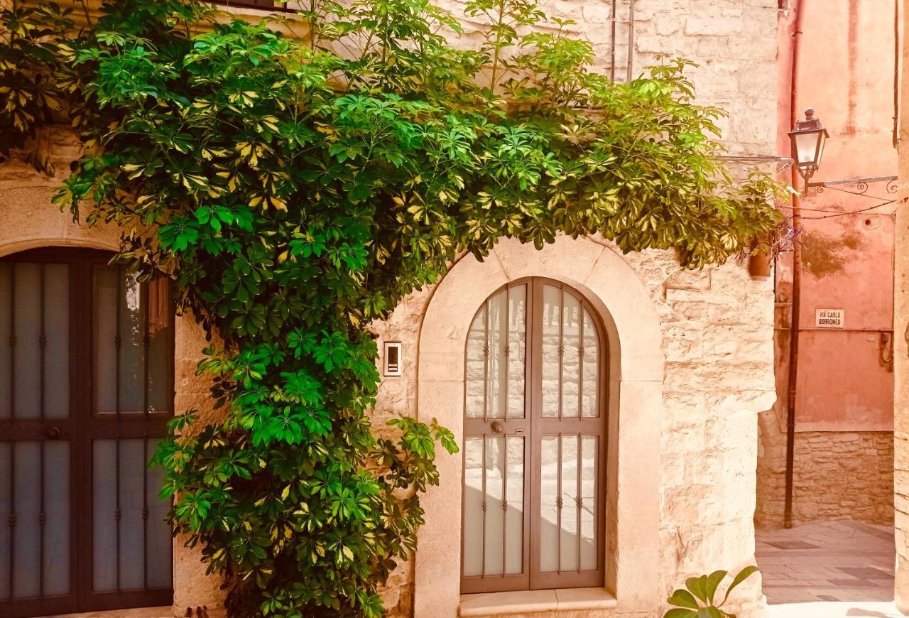 Palo Del Colle Ierva Chiain, Guest House Kültér fotó